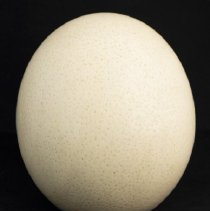 Lhm 1989.038.149 Edited (1)